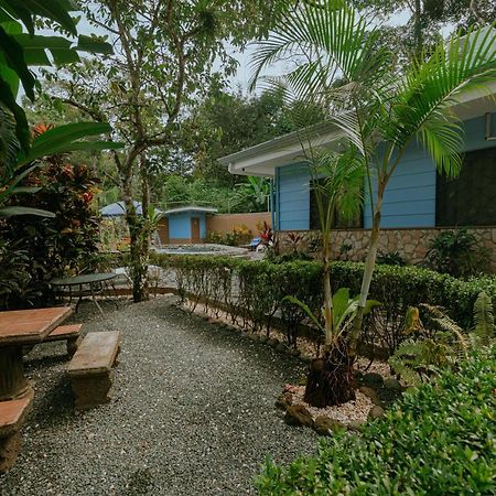 Oasis Diverse Adult Retreat Кепос Екстериор снимка